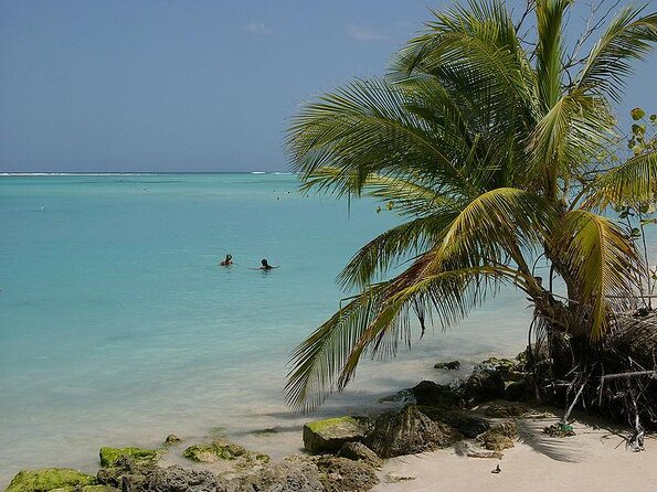 Tobago Buccoo Reef Tours