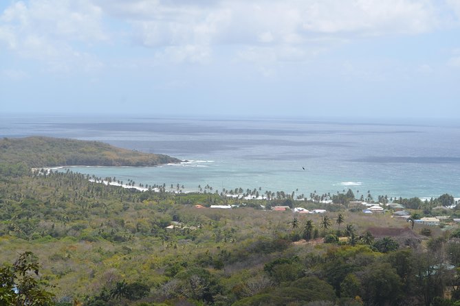 Tobago Island Tour