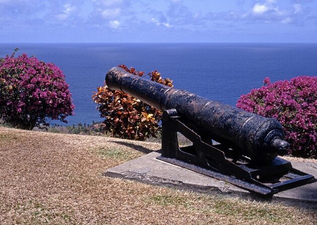 Tobago Round the Island Small Group Tour