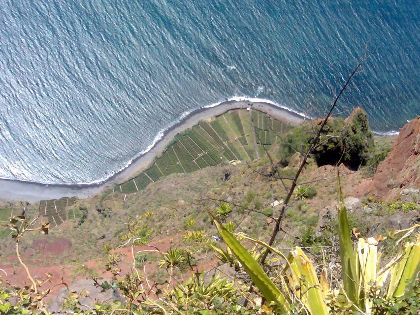 Toboggan Ride & Madeira Wine Tasting Tour