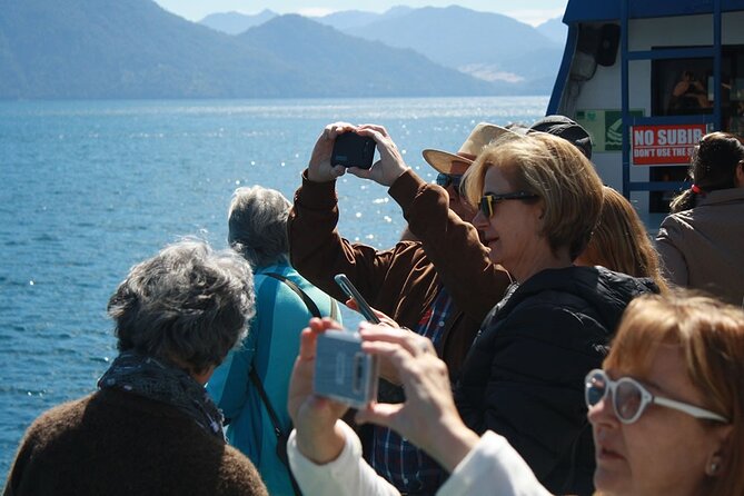 Todos Los Santos Lake and Villa Peulla Tour - Good To Know