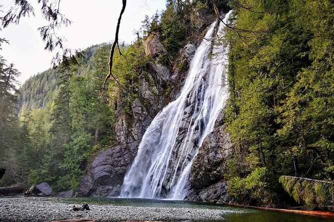Tofino Private Tour: Coastal Excursion to Rainforest Waterfall