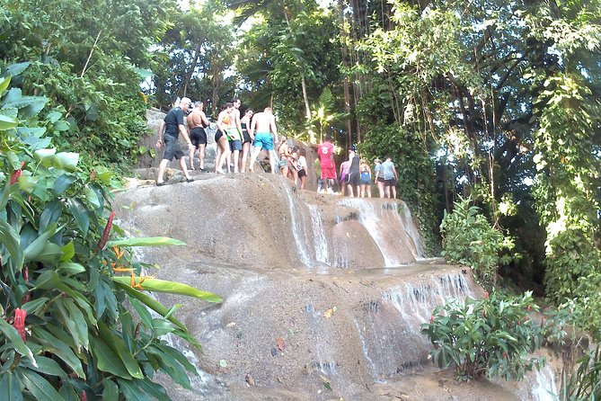 Top of Waterfall and Sightseeing With Small Zoo Konoko Falls