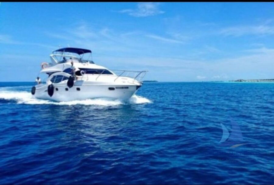 Toronto: Divine Luxury Yacht Charter - Good To Know