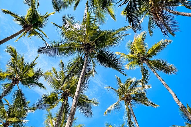 13 Best Tours In Alajuela