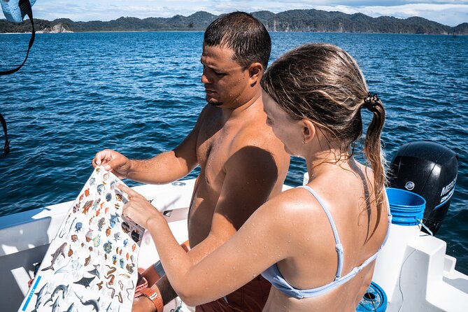 Tortuga Island Small-Group Day Tour With Lunch - Santa Teresa