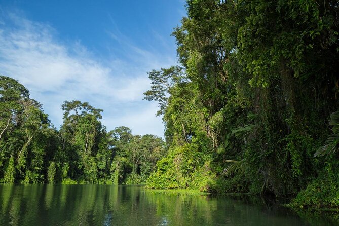 Tortuguero National Park Eco Adventure Canoe Tour From San Jose - Good To Know