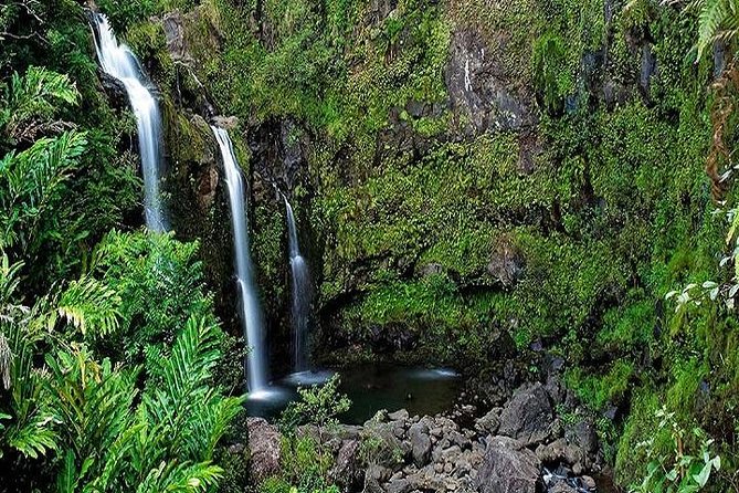 Tour 21W - Hana Rainforest & Waterfall Fun Tour From Oahu