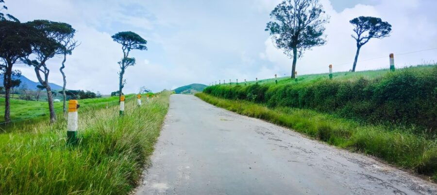 Tour Arrangement: Round Tours, Multi Day Tours in Sri Lanka