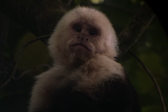 Tour in Monteverde Curi-Cancha Reserve