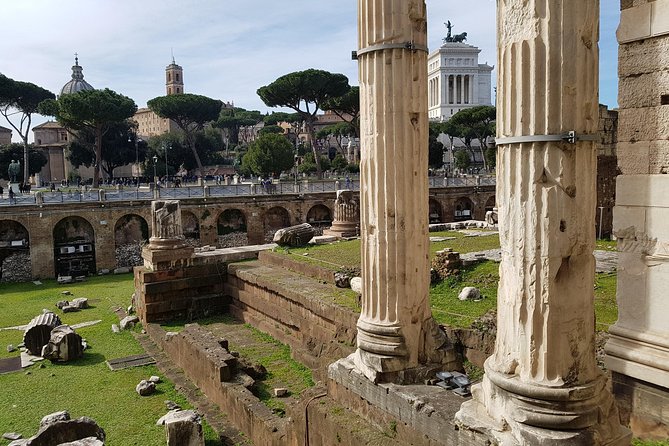 Tour in Rome, Full Day - Highlights of the Full-Day Tour