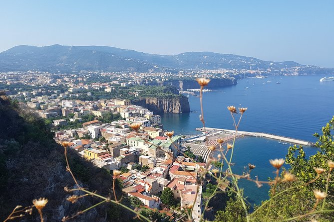 Tour on the Amalfi Coast: Sorrento and Positano, a Day From Rome - Good To Know