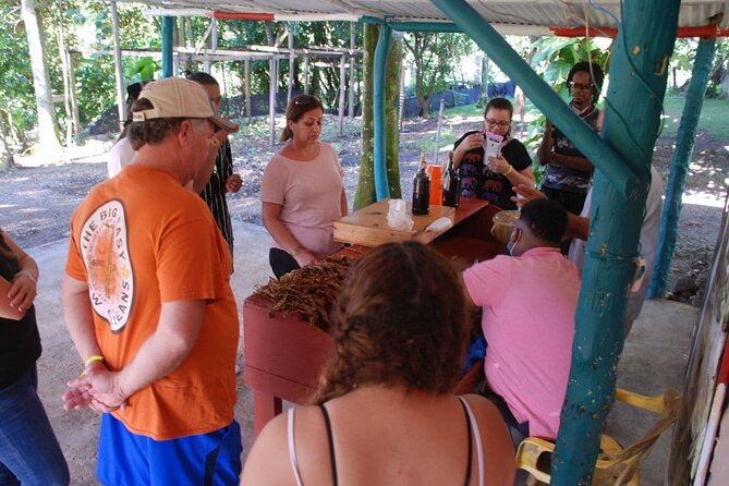 Tour Pack 2-in-1: Zip Line, Jungle Buggies in Punta Cana - Good To Know