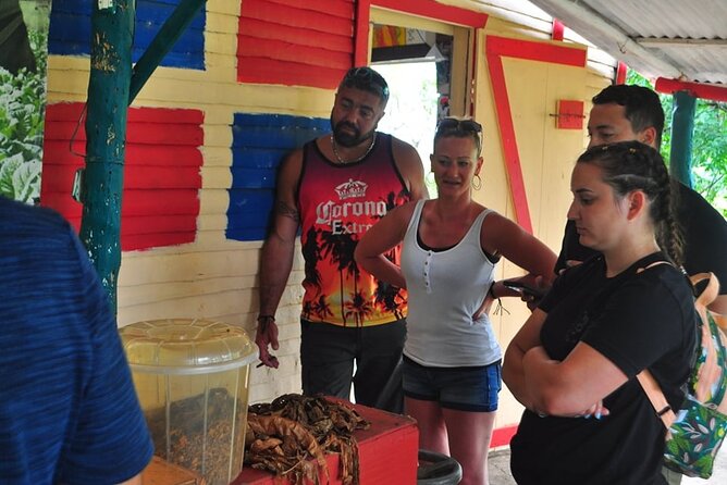 Tour Pack - Horseback Ride, City Tour, Safari, Zipline, Dune Buggies - Good To Know