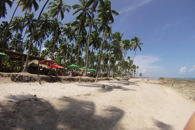 Tour to Carneiros Beach