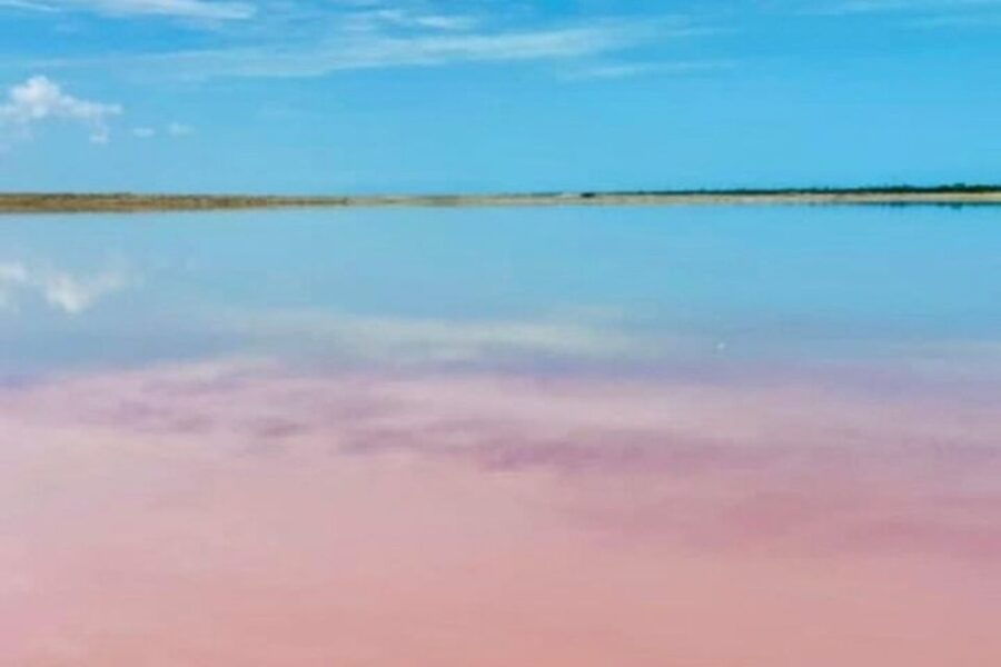 Tour to Las Coloradas and Rio Lagartos From Merida