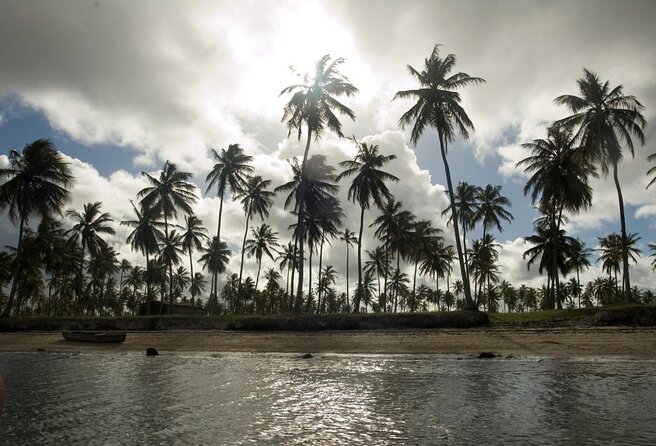 Tour to Mangue Seco With Boat Ride - Good To Know