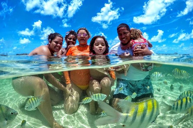 6 Best Tours in Porto De Galinhas