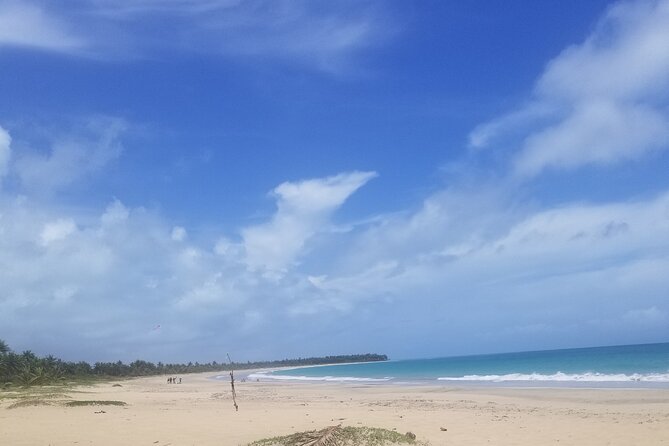 Tour to Montana Redonda and Emerald Coast Beach - Tour Pricing and Booking Details