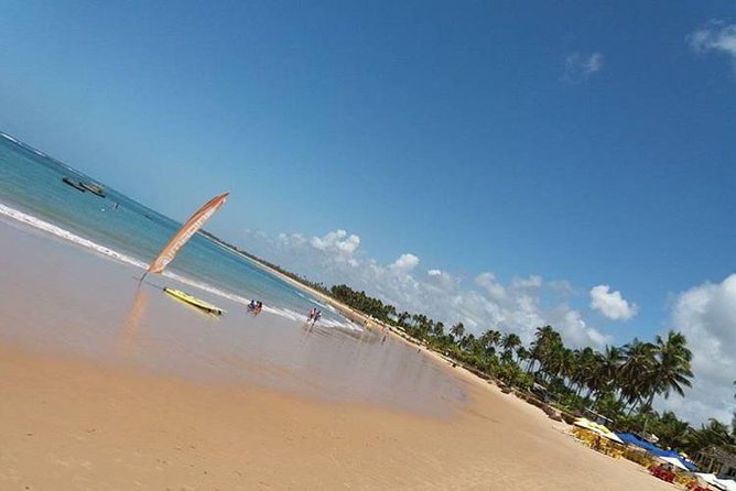 Tour to Praia Do Forte and Guarajuba