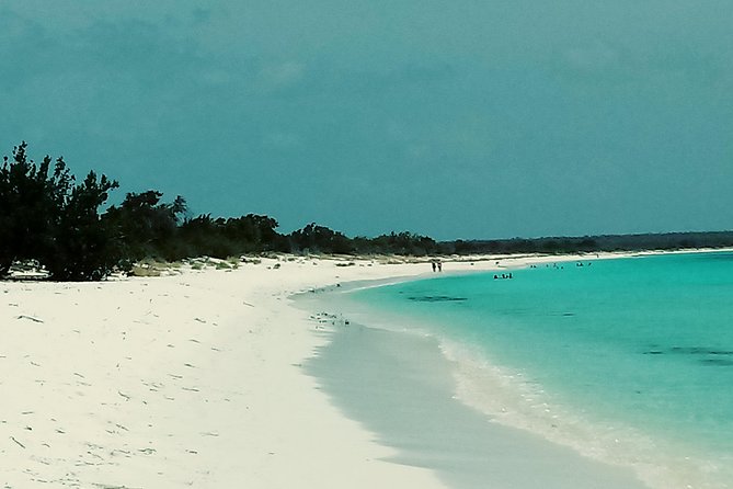 Tour to Saona Island - Tour Highlights