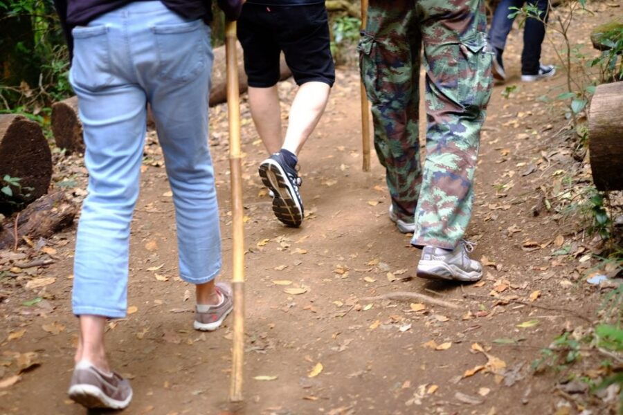 Tour With Hike in Kiew Mae Pan Natural Trail From Chiang Mai - Experience Highlights