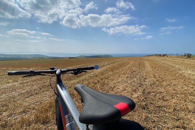 TourDeLanes Electric Bicycle Tour