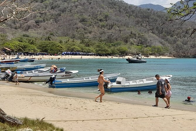Tourists Rave About Shell Bay Experience
