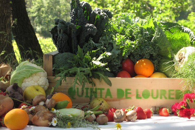 Traditional Cooking Class & Farm Tour in the Douro Valley - Good To Know