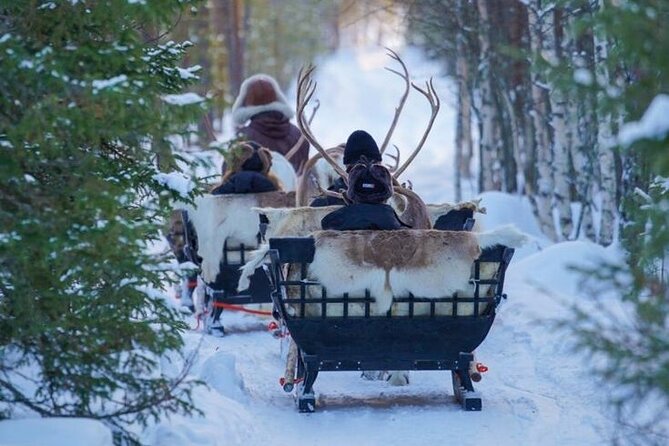 Traditional Reindeer Farm Visit With a Short Sleigh Ride