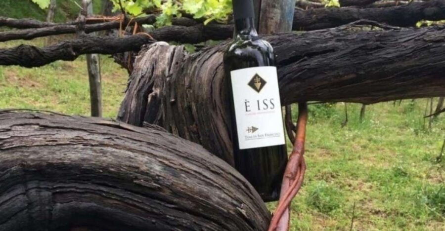 Tramonti: Tenuta San Francesco Wine Tasting - Good To Know