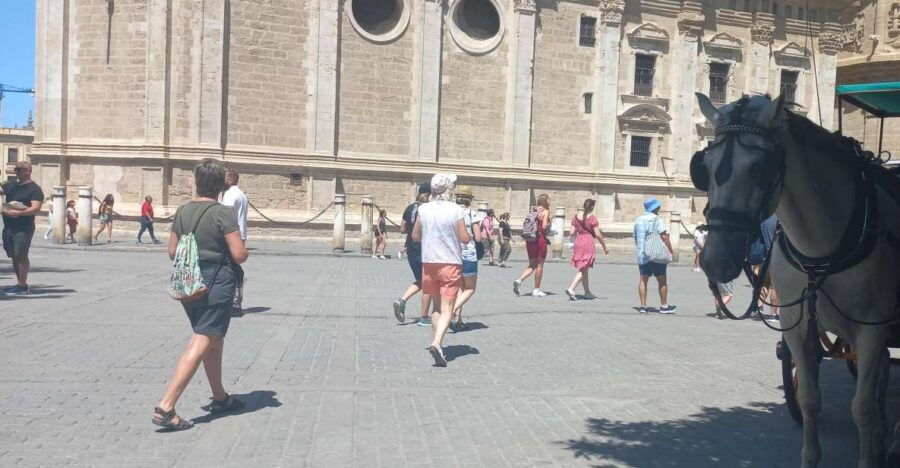 Transfer Lisbon / Seville - Good To Know