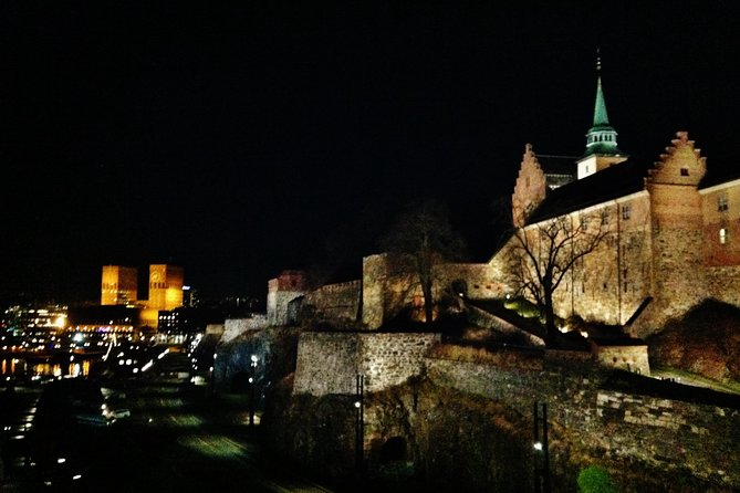 TRANSFER, LUXURY CAR 1-3 PAX: Bergen – Oslo