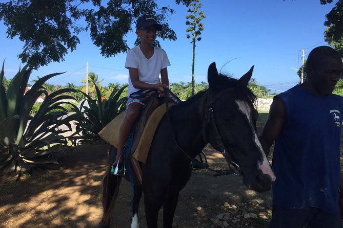 Transportation to Horse Back Ride & Swim Adventure From Ocho Rios