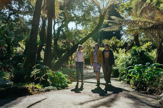 Treasures of San Francisco: Golden Gate Park Private Tour - Good To Know