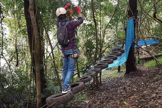 Tree Top Adventure