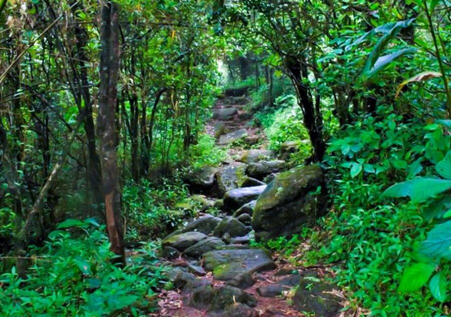 Treeking to Knuckles & Adventure Camping in Meemure - Good To Know