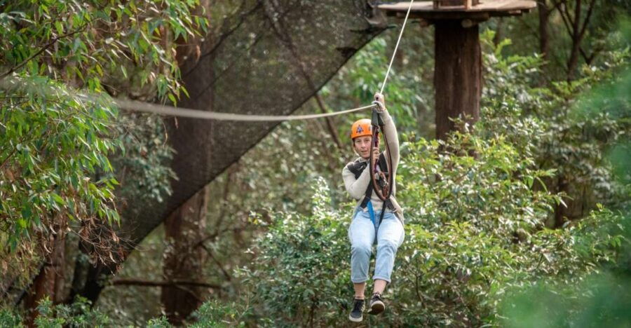 Treetops Adventure Central Coast - Good To Know