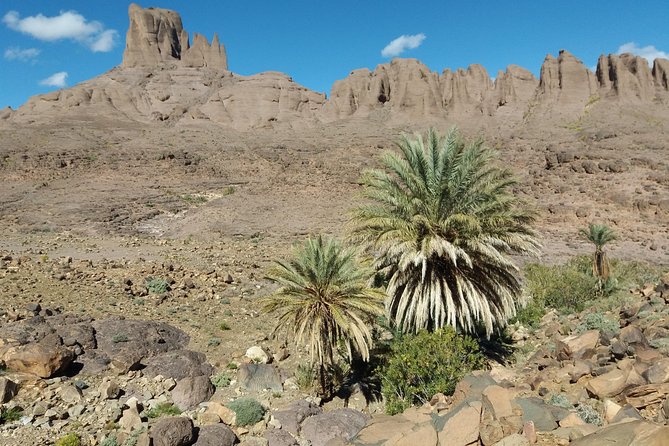 Trek Jebel Saghro Morocco 8 Days - Good To Know