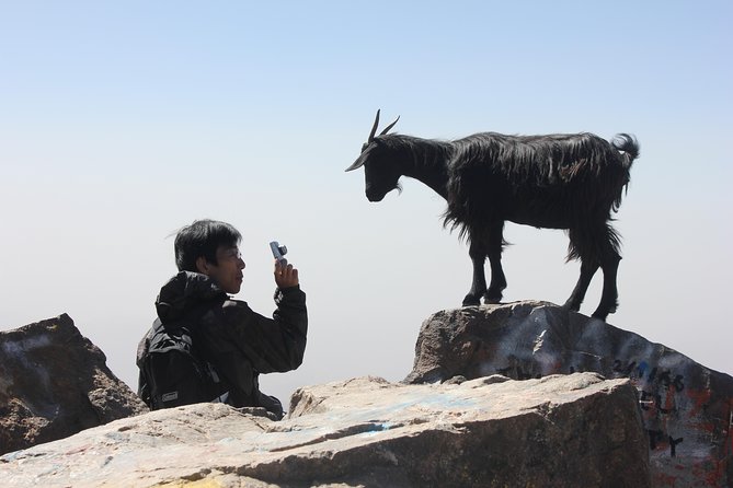 Trekking and Hiking in Morocco 2 Day Trek in Atlas Mountains Berber Villages - Good To Know