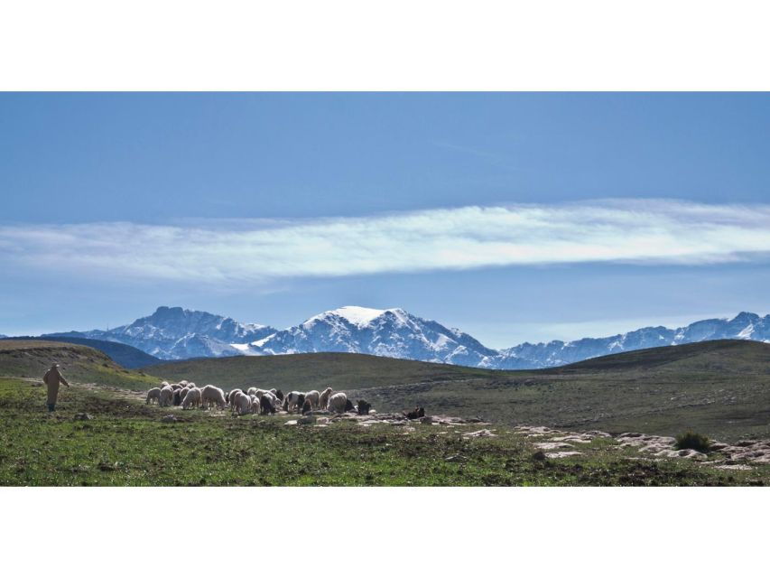 Trekking Berber Trails and Embracing Cultural Traditions - Good To Know