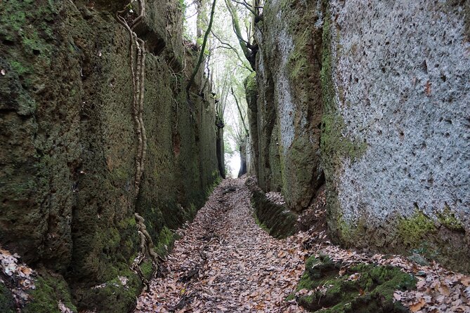 Trekking Excursion History and Nature Necropolis of Norchia From Rome - Good To Know