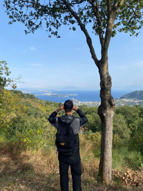 Trekking Experience in Ischia With Local Guide - Good To Know