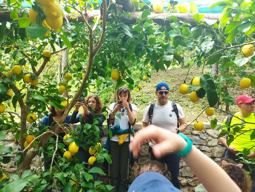 Trekking Lemon Tour