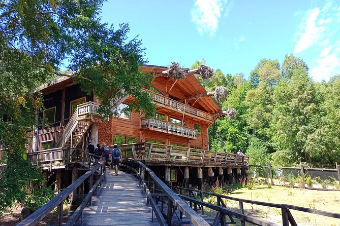 Trips From Pucón to Huilo Huilo and Puerto Fuy - Good To Know