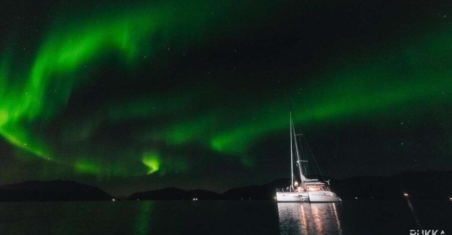 Tromso: 3-Hour Northern Lights Sailing Excursion - Booking Details