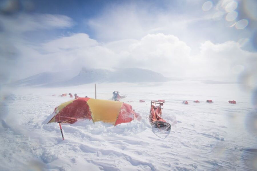 Tromso: 8-Day Dog Sledding Expedition With Alaskan Huskies