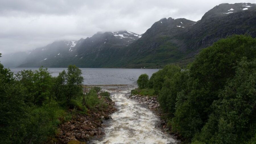 Tromsø: Arctic Landscapes Sightseeing With Citizen Science