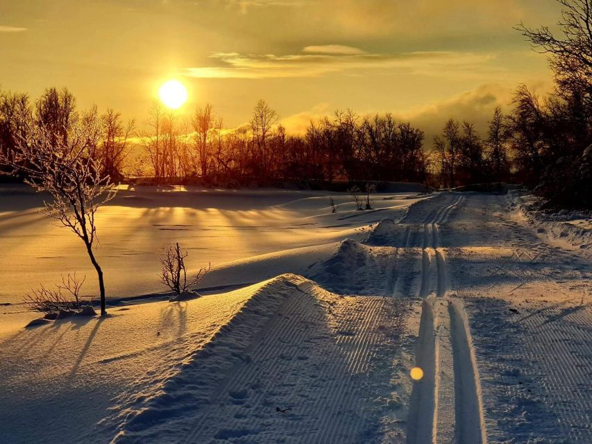 Tromsø: Cross Country Course With a Guide and Views