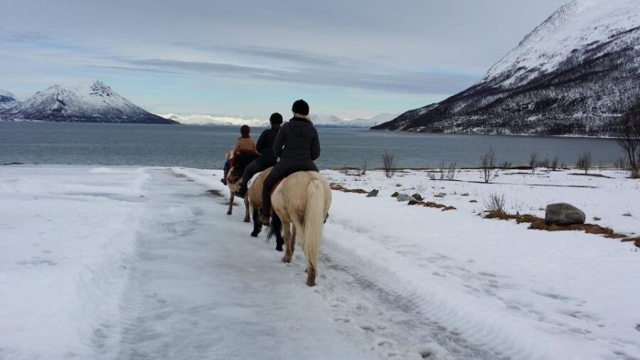 Tromsø: Lyngen Horseback Riding Experience
